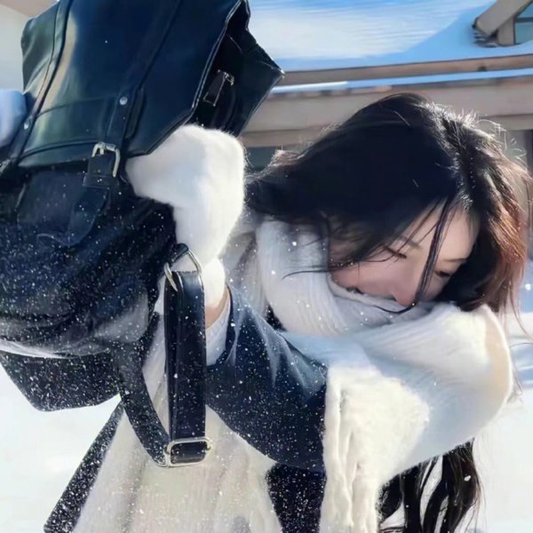 圣诞狗狗1:全面搜寻